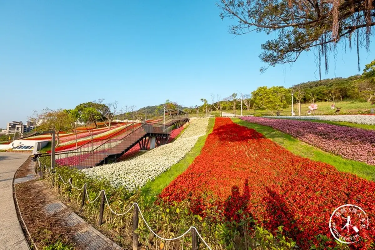 台北新祕境「富良野花海」!北投三層崎「9萬盆漸層花」滾滿山坡,最佳拍攝點曝光 台北新祕境「富良野花海」!北投三層崎「9萬盆漸層花」滾滿山坡,最佳拍攝點曝光