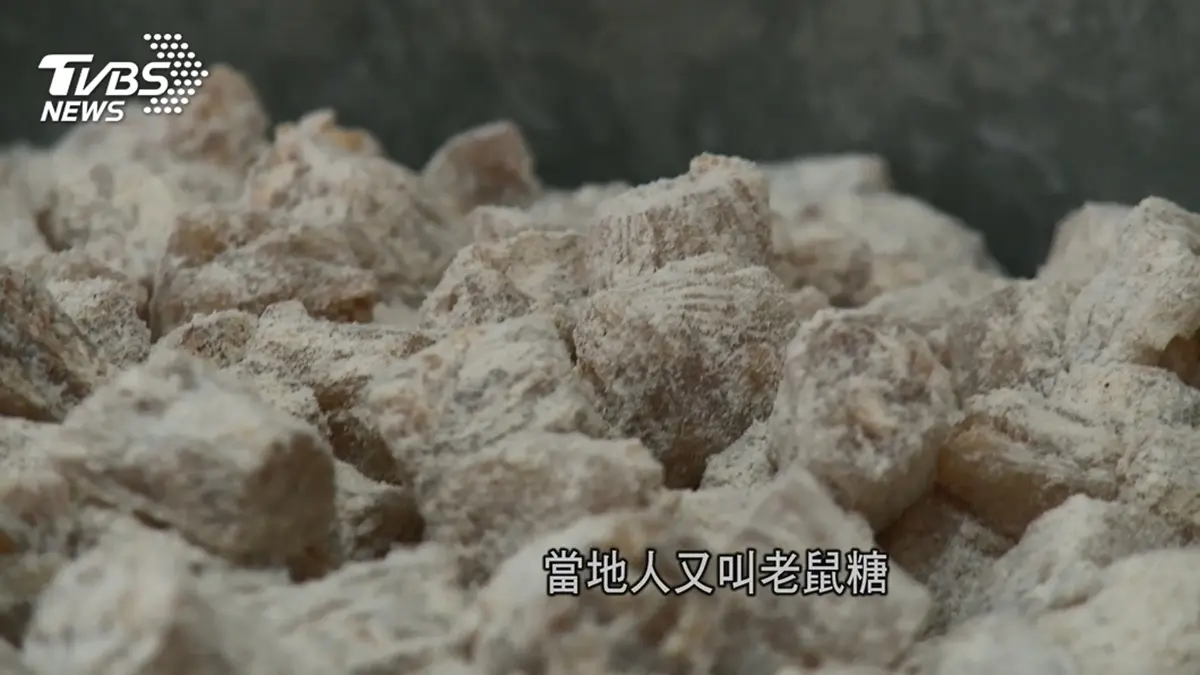 打卡400年小鎮！嘉義走春６美食＋景點：最強鴨肉羹、交趾陶園區、70年碗粿