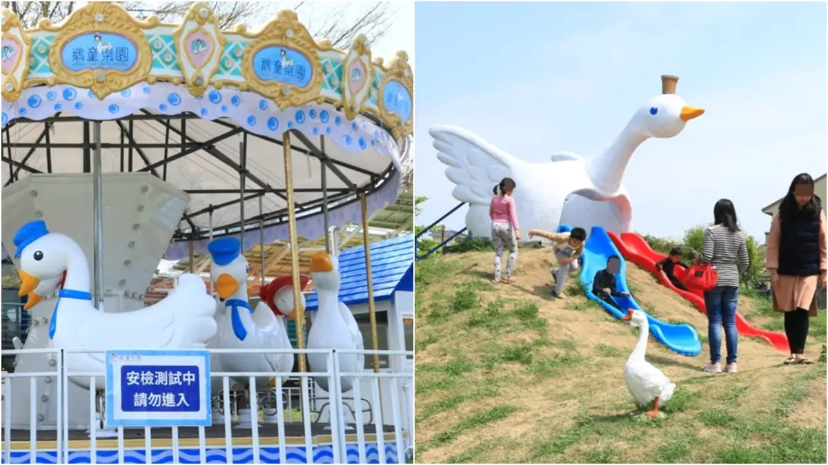 我的老天「鵝」！雲林免費親子新景點，旋轉「木鵝」太逗趣，還有白鵝溜滑梯