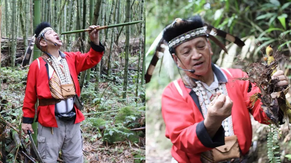 免費玩！嘉義美拍6景點：放大版「健達出奇蛋」、縮小版清境、台版江戶村