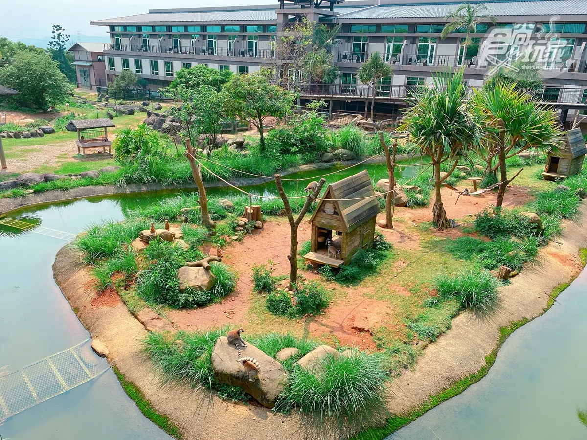 全台唯一「動物園飯店」！長頸鹿、羊駝來敲窗，還有「丁滿」陪吃飯