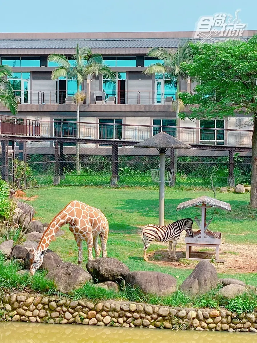 最高變「6倍」！3家飯店「放大振興券」再送3000元、爽住萬元動物園飯店