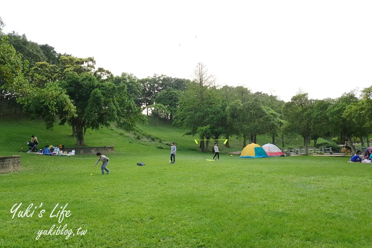 帶小孩放電！桃園戶外３打卡點：森林系動物農場、日本引進50公尺溜滑梯