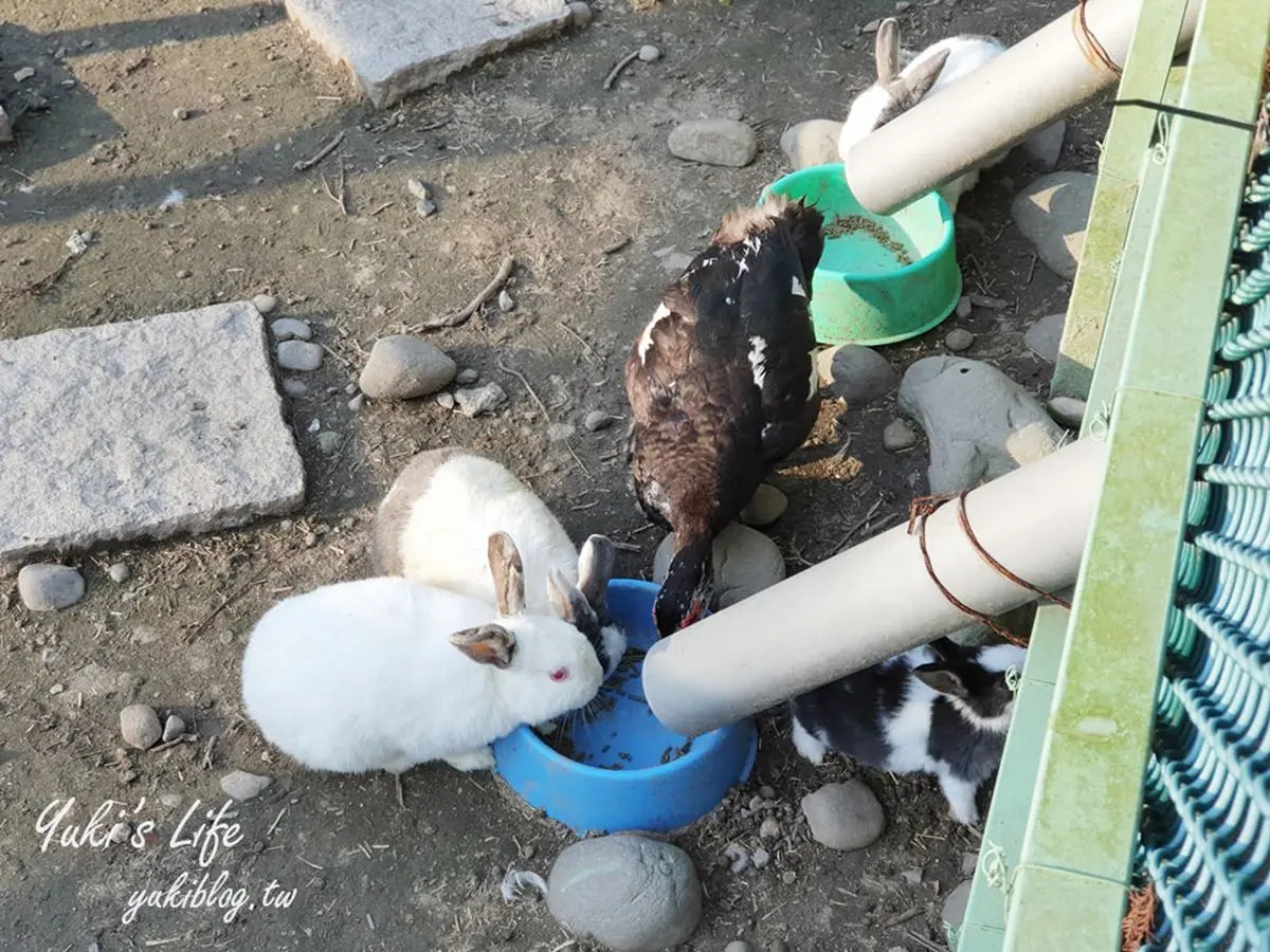 帶小孩放電！桃園戶外３打卡點：森林系動物農場、日本引進50公尺溜滑梯