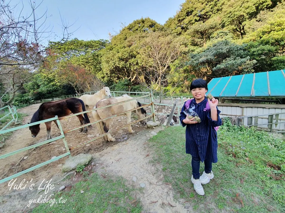 帶小孩放電！桃園戶外３打卡點：森林系動物農場、日本引進50公尺溜滑梯