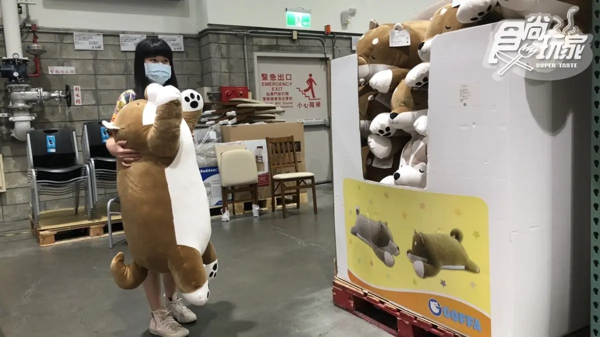 狗奴快衝!好市多44吋「巨無霸總柴」700元有找,網融化:「想養」 狗奴快衝!好市多44吋「巨無霸總柴」700元有找,網融化:「想養」