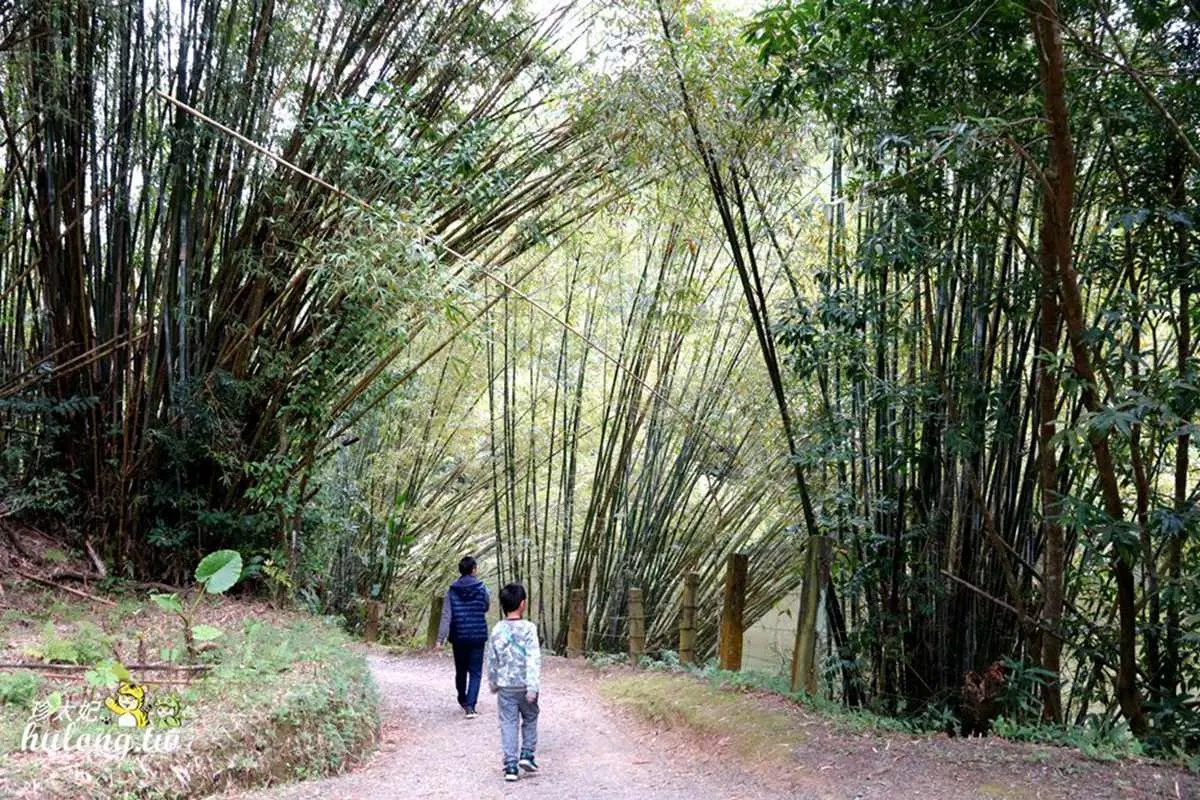大人小孩都愛！新竹戶外４行程：溜攀岩牆滑梯、看河馬刷牙、陪草泥馬散步