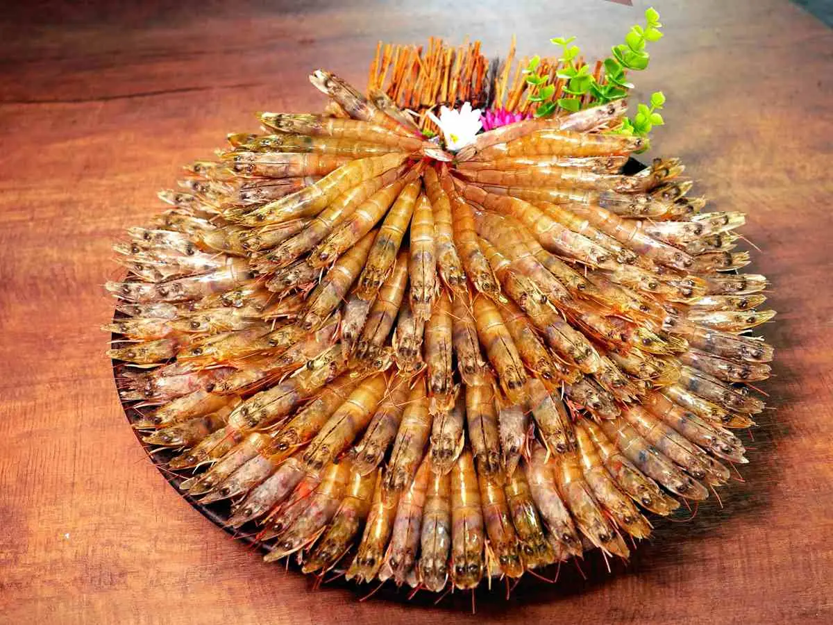 10月美食優惠也太多!壽星幾歲送幾隻蝦、吃幾顆鮑魚,還有每週五炭烤肋排買一送一 10月美食優惠也太多!壽星幾歲送幾隻蝦、吃幾顆鮑魚,還有每週五炭烤肋排買一送一