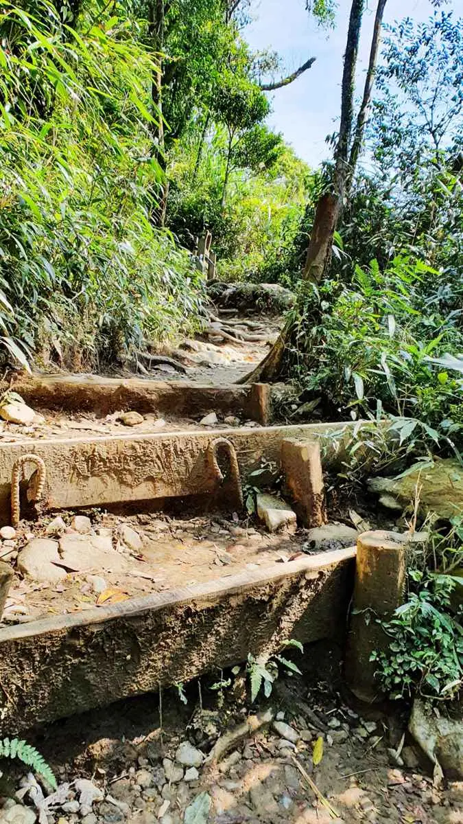 網美們你確定要爬「抹茶山」?和小林賢伍一起賞抹茶冰淇淋,發現4個真相 網美們你確定要爬「抹茶山」?和小林賢伍一起賞抹茶冰淇淋,發現4個真相