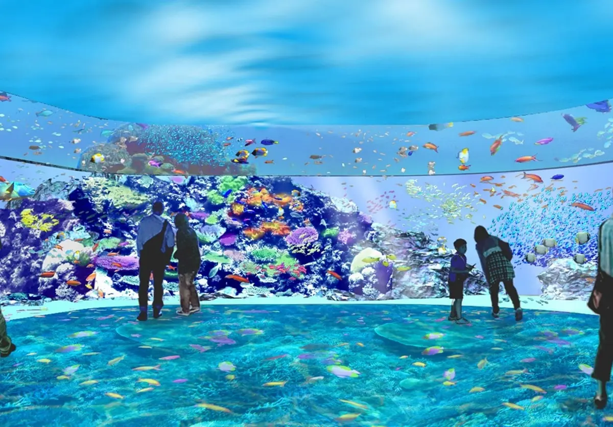 全台最大「水族館園區」這時開幕！4層樓高「海底總動員」，還能夜宿躺著看