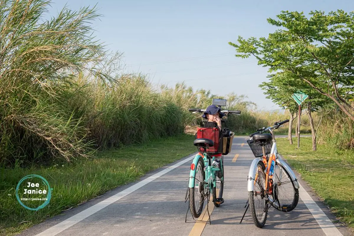 春節放風去！北中南６條自行車步道：台版「沖繩跨海大橋」、綠色森林隧道