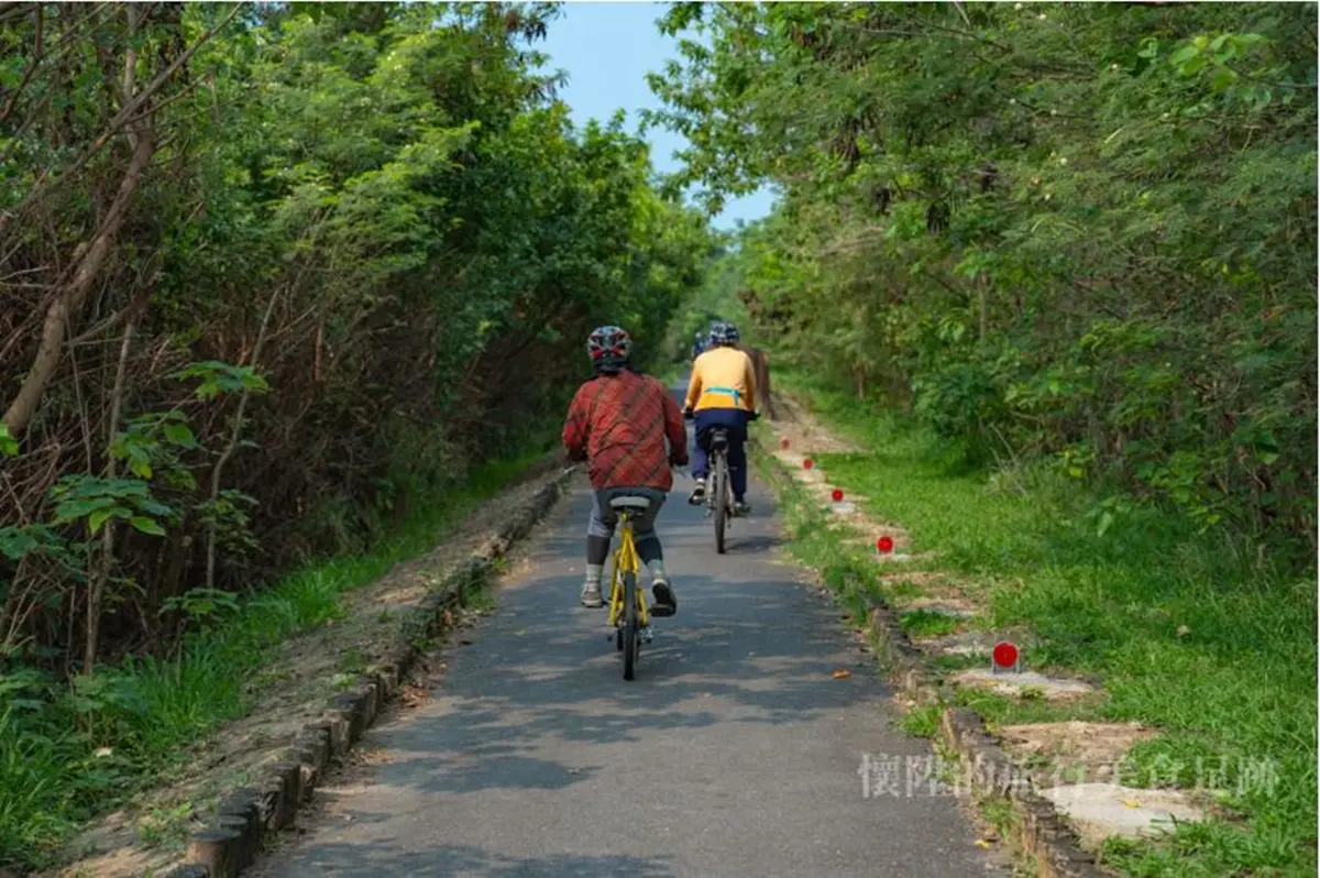 春節放風去！北中南６條自行車步道：台版「沖繩跨海大橋」、綠色森林隧道