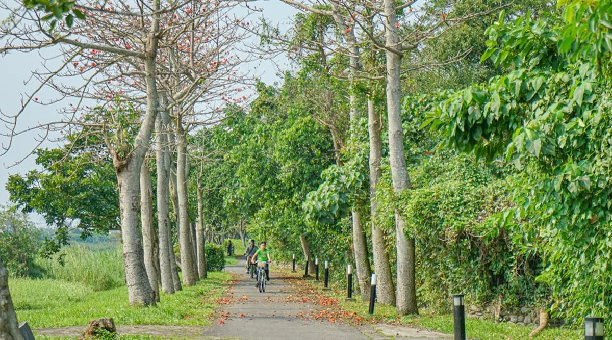 【全台9條親子自行車道】好騎又漂亮！海景、水岸、綠色隧道全都收，週末出遊要筆記