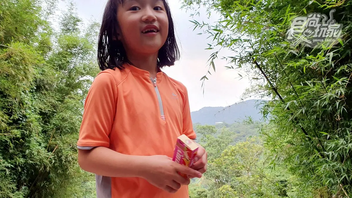 夏季涼爽親水步道！親子健行作家大推坪頂古圳，曬不到太陽還可玩水呢