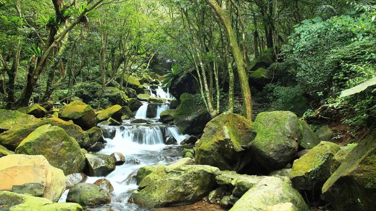 IG熱搜！全台12處「偽出國」網美景點：美國村、日本奈良、韓國青瓦臺