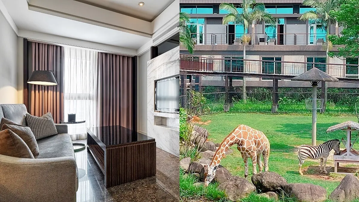 最高變「6倍」！3家飯店「放大振興券」再送3000元、爽住萬元動物園飯店