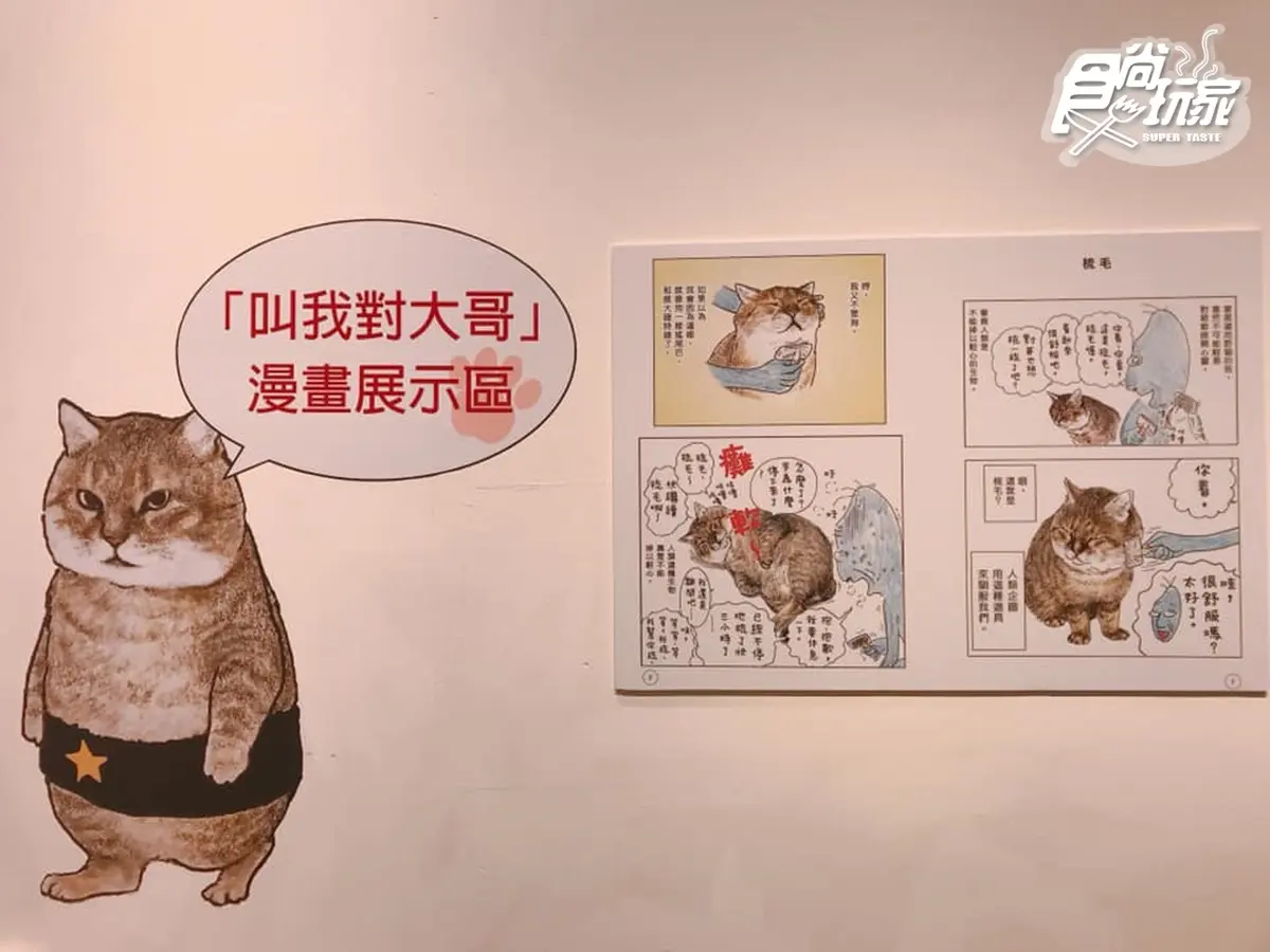 貓奴衝了!超萌「日本福貓展」降臨華山,日劇結緣神轎、人氣喵漫畫海外首展都在這 貓奴衝了!超萌「日本福貓展」降臨華山,日劇結緣神轎、人氣喵漫畫海外首展都在這