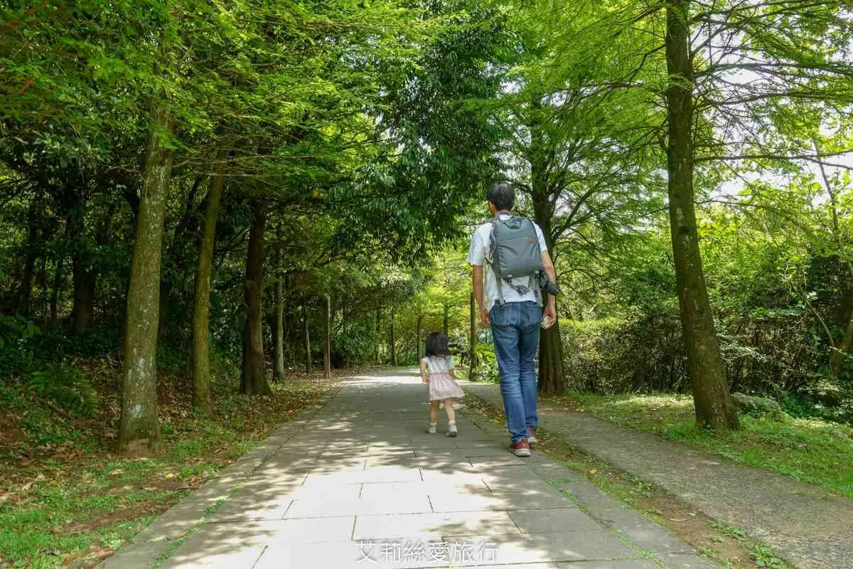 好走不累!全台17條美景親子步道:森林祕境、無敵海景、清涼瀑布全收錄 好走不累!全台17條美景親子步道:森林祕境、無敵海景、清涼瀑布全收錄