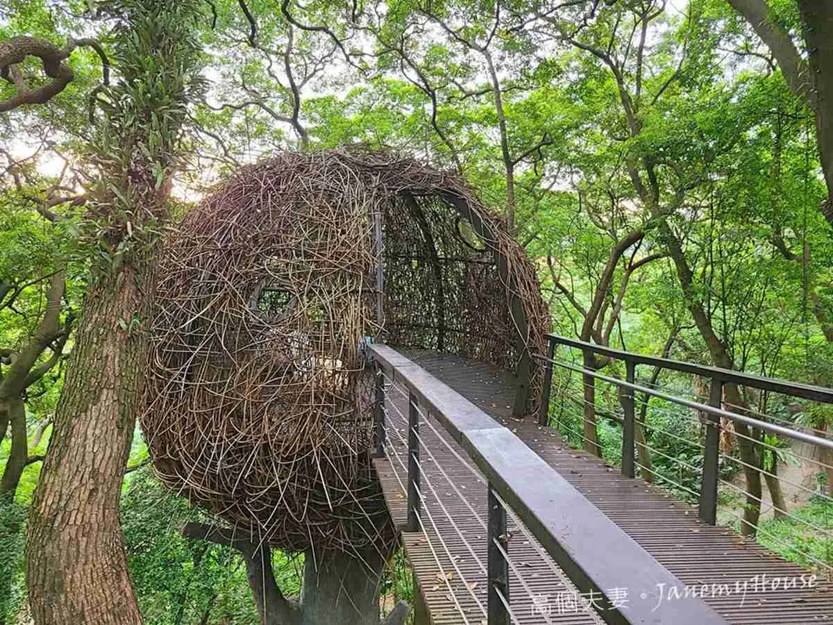 好走不累!全台17條美景親子步道:森林祕境、無敵海景、清涼瀑布全收錄 好走不累!全台17條美景親子步道:森林祕境、無敵海景、清涼瀑布全收錄
