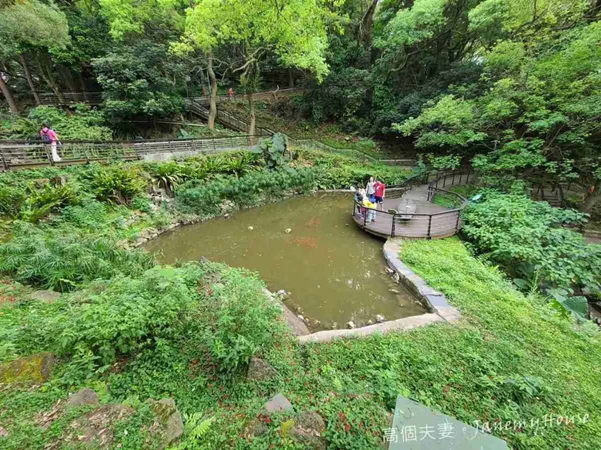 好走不累!全台17條美景親子步道:森林祕境、無敵海景、清涼瀑布全收錄 好走不累!全台17條美景親子步道:森林祕境、無敵海景、清涼瀑布全收錄