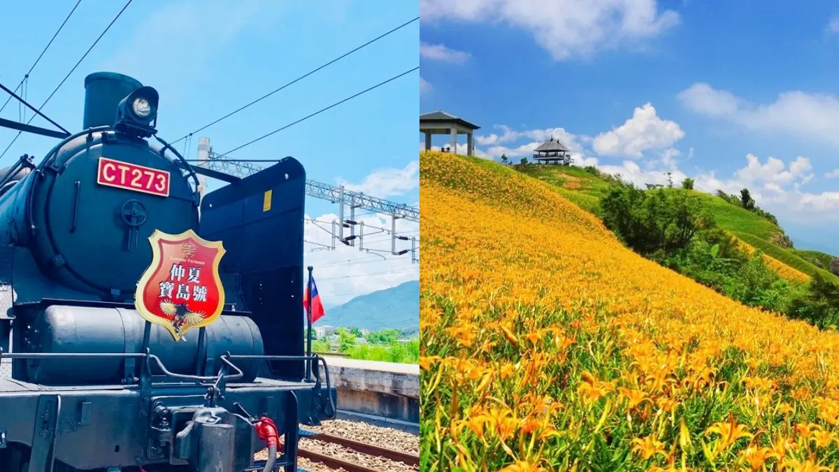 懶人出遊首選！台鐵「郵輪式列車」行程吃、住、交通全包，3大金針花勝地、夜宿海生館都衝了