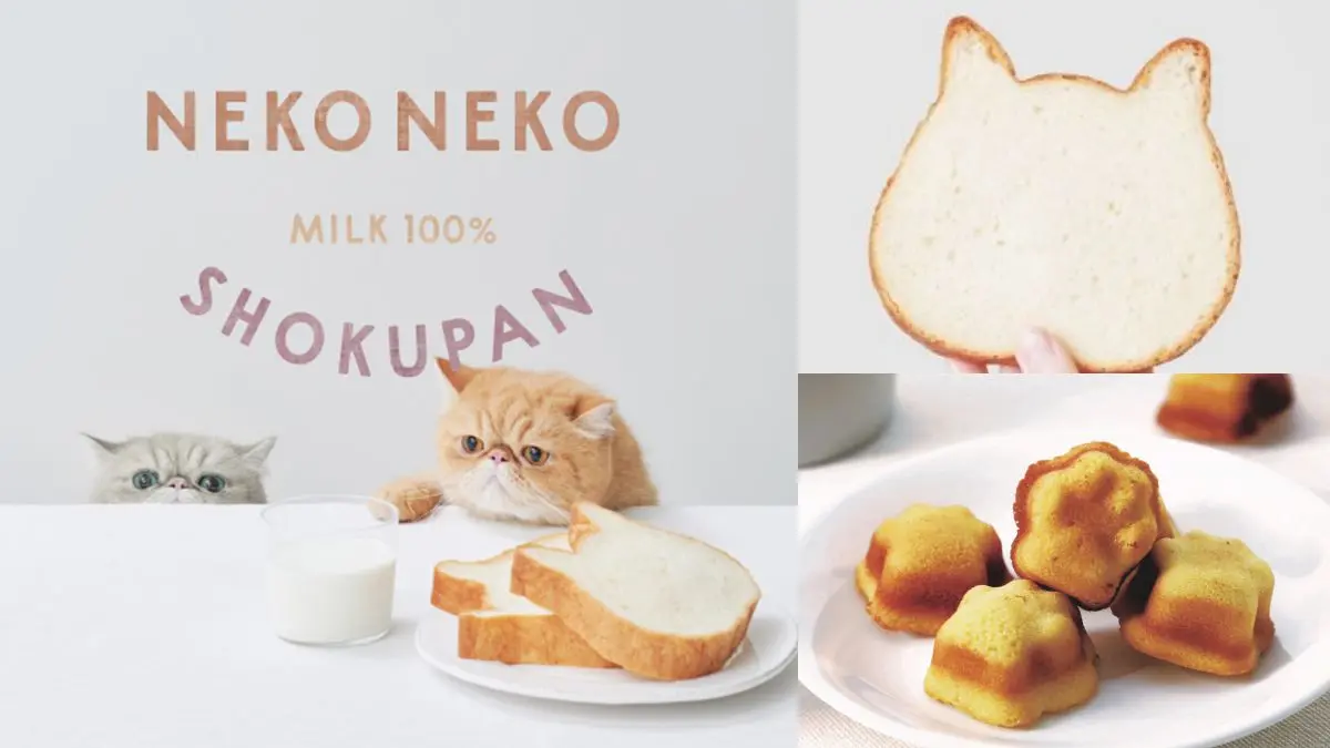 日本夯爆「貓咪生吐司」來了！「NEKO NEKO SHOKUPAN貓咪吐司專賣店」預計這時開
