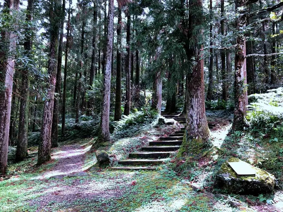 比振興三倍券更好康，免費領「農遊券、客庄旅遊券、動滋券、藝FUN券」，最多爽花2150元