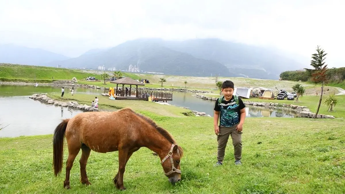 【全台20個親子動物農場】超可愛動物朋友集合啦！羊駝、狐獴、小鴨、毛兔、萌萌豬，還有斑比陪賽跑
