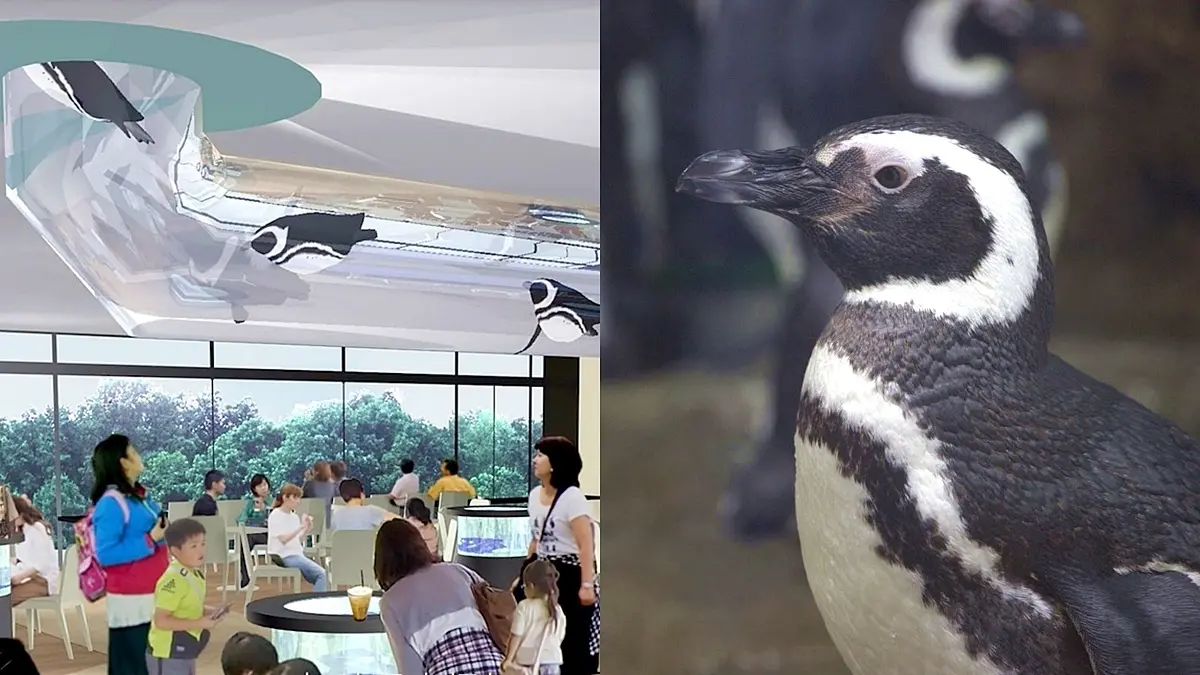 【新開店】全台首創「企鵝咖啡廳」！店中央「企鵝隧道」通水族館，超夯Xpark門票這天開買