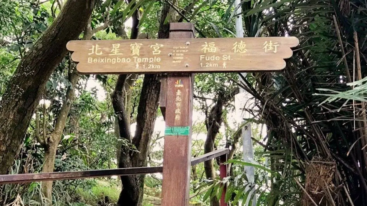 台北打卡祕境！超好走親山步道遠眺101，必拍偽出國加州風椰子林