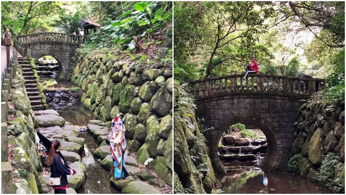 台北打卡祕境！超好走親山步道遠眺101，必拍偽出國加州風椰子林