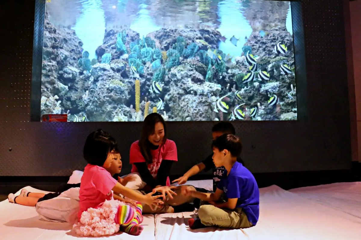 和海獅一起睡！遠雄海洋公園推「夜宿水族館」活動，加碼與海豚親密互動