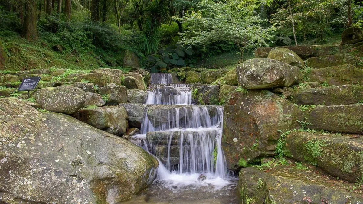 網美踏青必訪!新北3大美拍綠色祕境:鱷魚島、天空茶園、石頭魔法陣 網美踏青必訪!新北3大美拍綠色祕境:鱷魚島、天空茶園、石頭魔法陣
