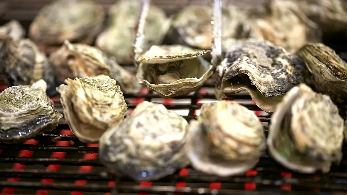 現烤牡蠣、現燙牛肉湯，還有邪惡巧克力噴泉！吃到飽控最愛自助百匯，菜色升級不加價