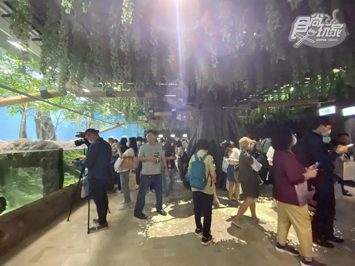 電視節目首曝光！桃園「Xpark」水族館全攻略，必拍8公尺高水槽、虹光水母牆