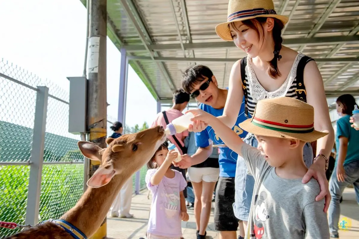 【全台20個親子動物農場】超可愛動物朋友集合啦！羊駝、狐獴、小鴨、毛兔、萌萌豬，還有斑比陪賽跑