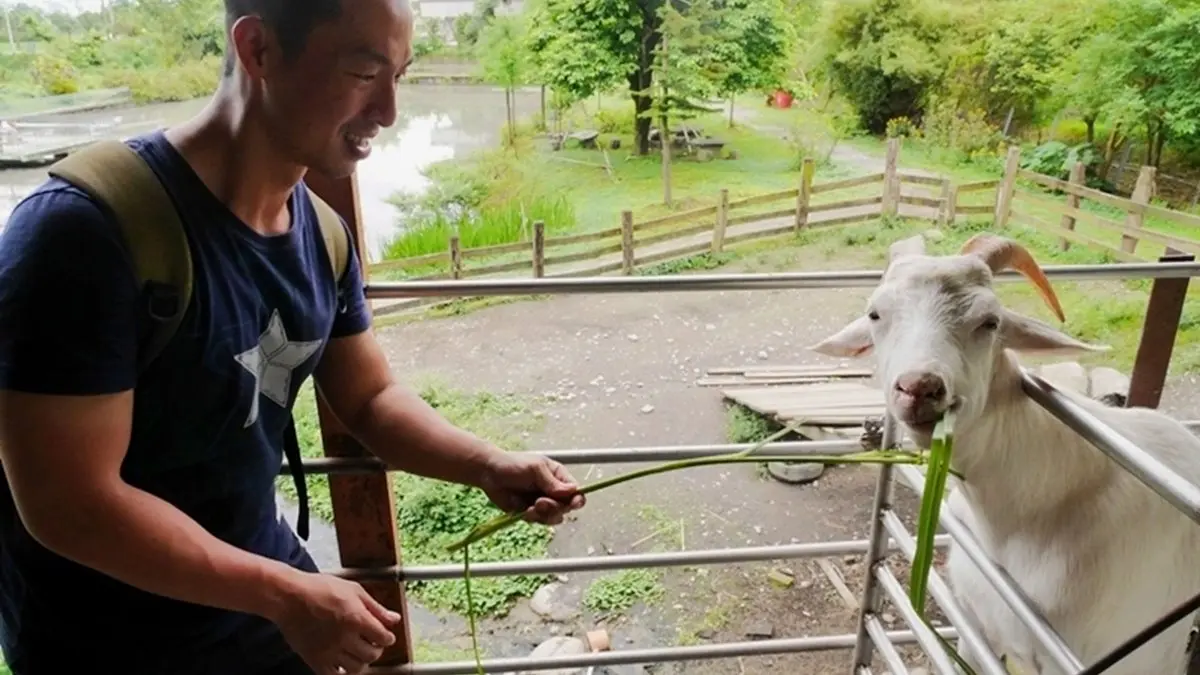 【全台20個親子動物農場】超可愛動物朋友集合啦！羊駝、狐獴、小鴨、毛兔、萌萌豬，還有斑比陪賽跑