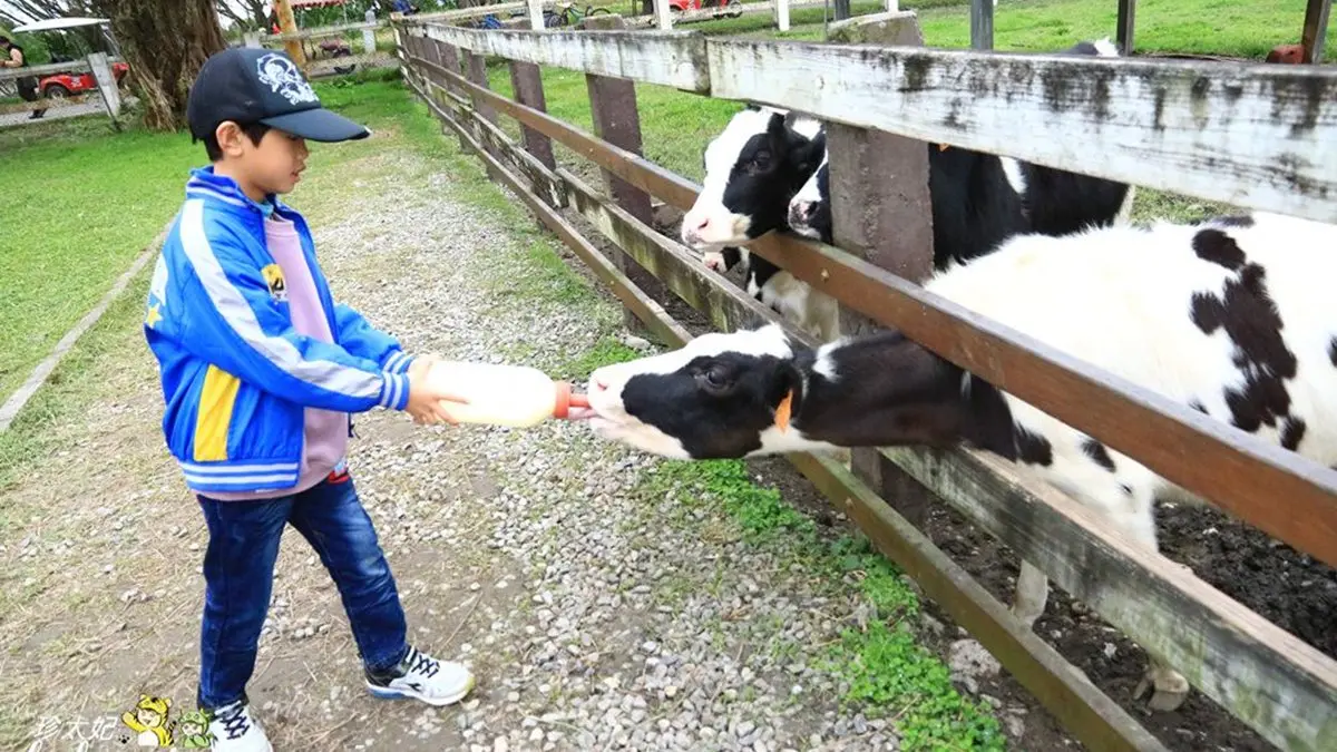 【全台20個親子動物農場】超可愛動物朋友集合啦！羊駝、狐獴、小鴨、毛兔、萌萌豬，還有斑比陪賽跑