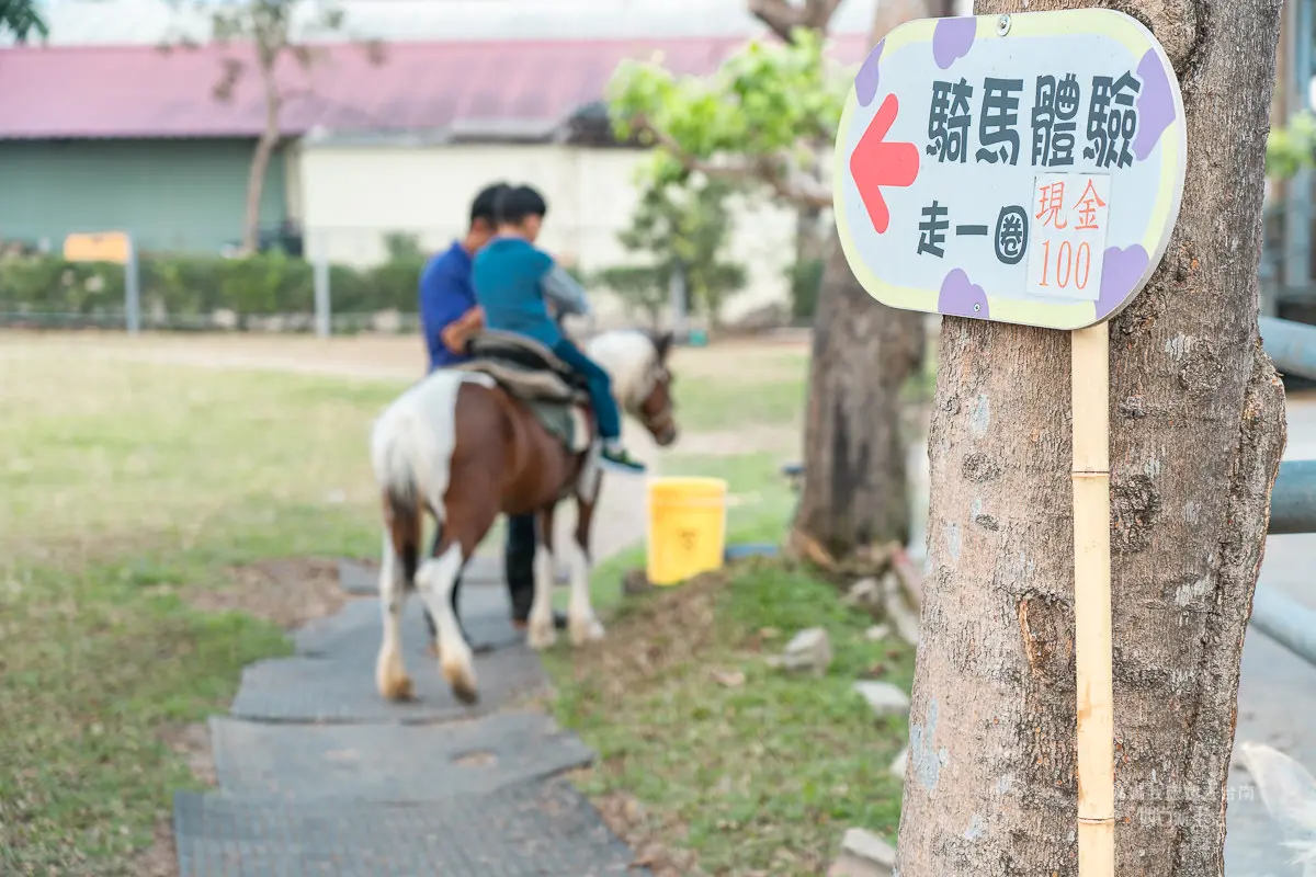 【全台20個親子動物農場】超可愛動物朋友集合啦！羊駝、狐獴、小鴨、毛兔、萌萌豬，還有斑比陪賽跑