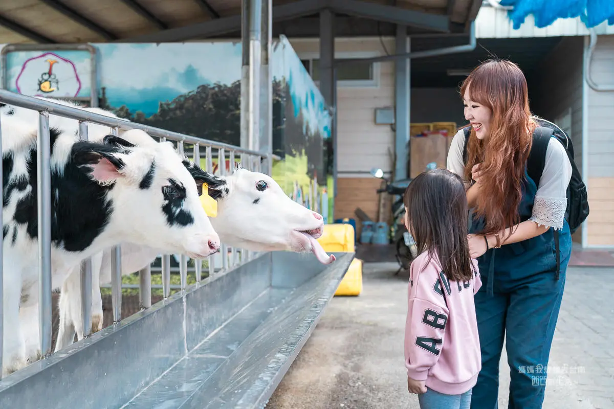 【全台20個親子動物農場】超可愛動物朋友集合啦！羊駝、狐獴、小鴨、毛兔、萌萌豬，還有斑比陪賽跑