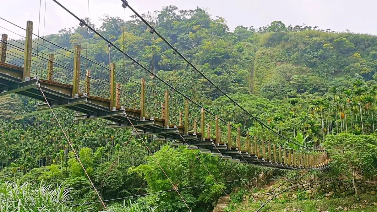 不出國遊東南亞叢林！雲林繩索吊橋刺激又好拍，「小天梯」還能俯瞰溪谷美景