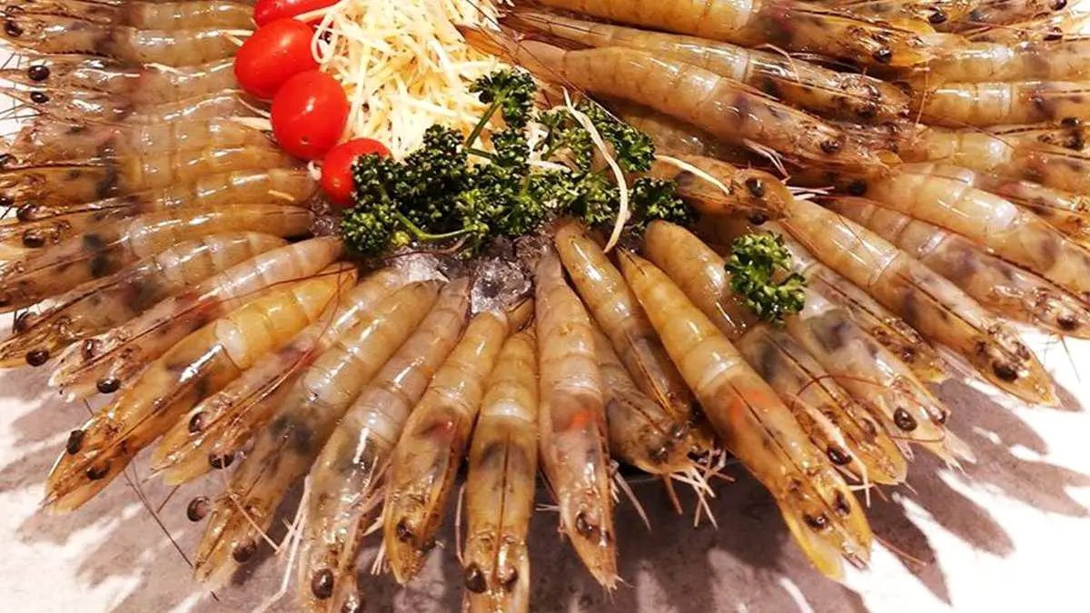 身分證對中「6」請你吃扇貝，壽星免費吃蝦吃肉！9月最狂28家餐廳優惠