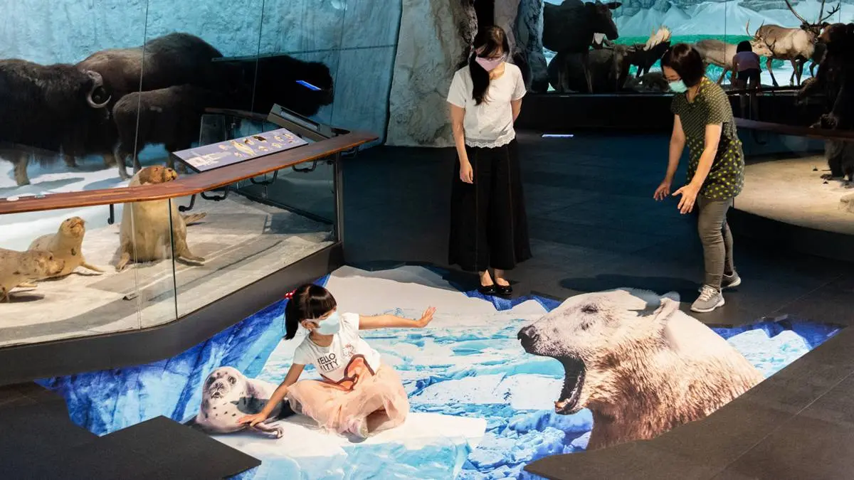 要救海豹嗎？奇美博物館最新「3D立體地景」北極熊、鱷魚超逼真