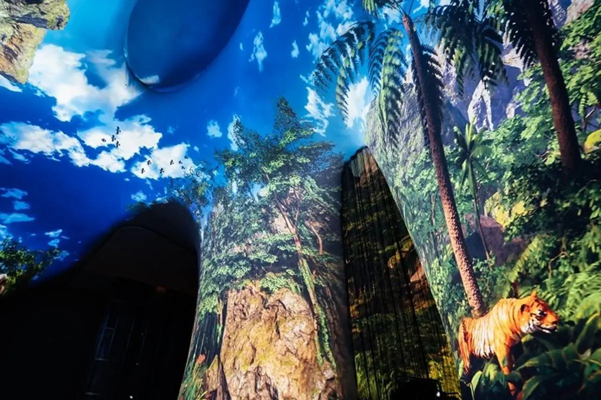 不出國、免花錢就能看極光!台中歌劇院光影秀還能變身水族館 不出國、免花錢就能看極光!台中歌劇院光影秀還能變身水族館