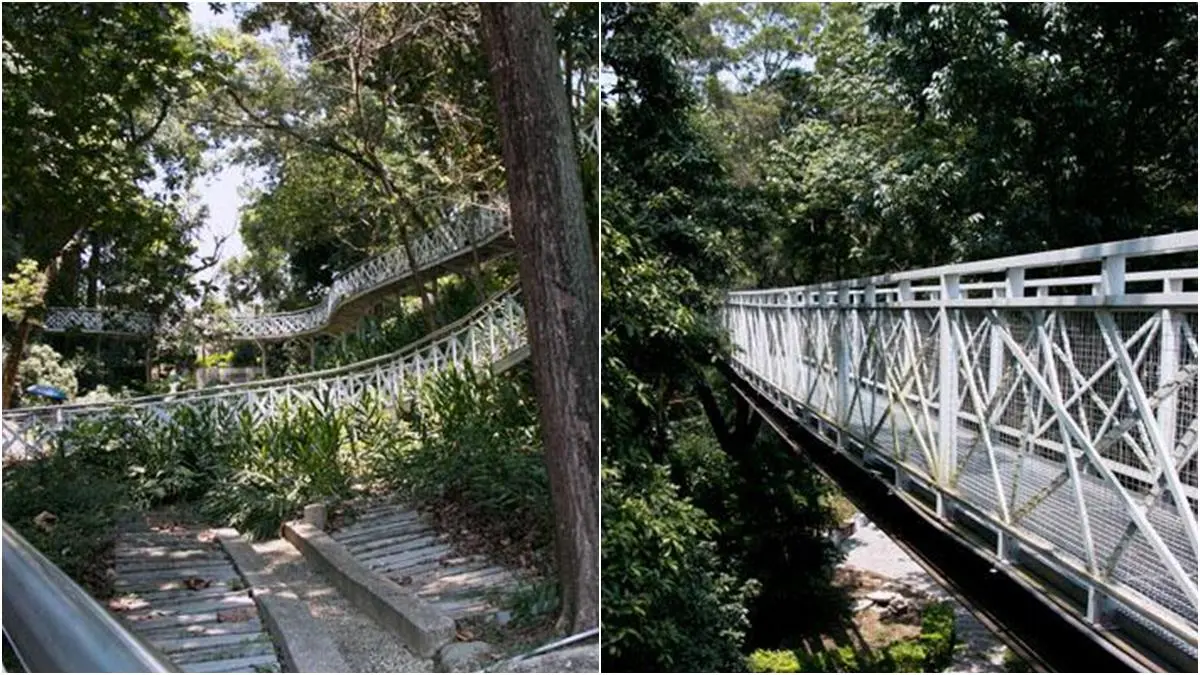  免費玩水囉！竹崎親水公園重新開放，小孩瘋玩鯨魚溜滑梯、大沙坑