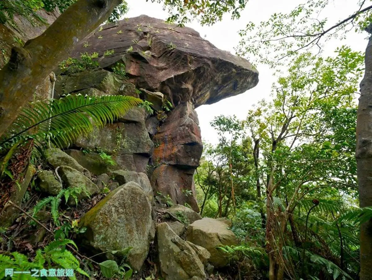 秒殺記憶體！全台9大美拍登山步道：360度海景草原、仙境瀑布