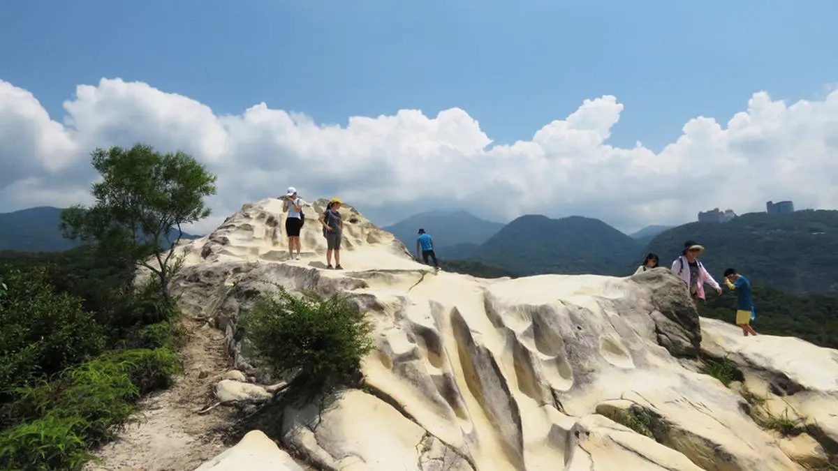 秒殺記憶體！全台9大美拍登山步道：360度海景草原、仙境瀑布