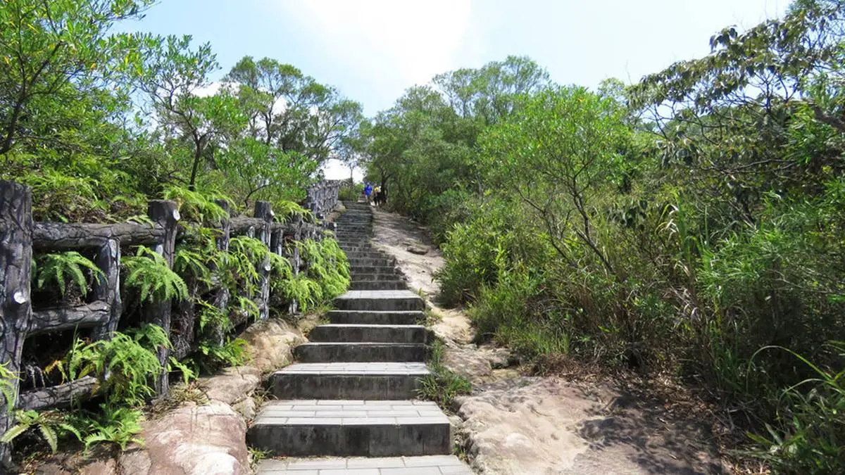秒殺記憶體！全台9大美拍登山步道：360度海景草原、仙境瀑布
