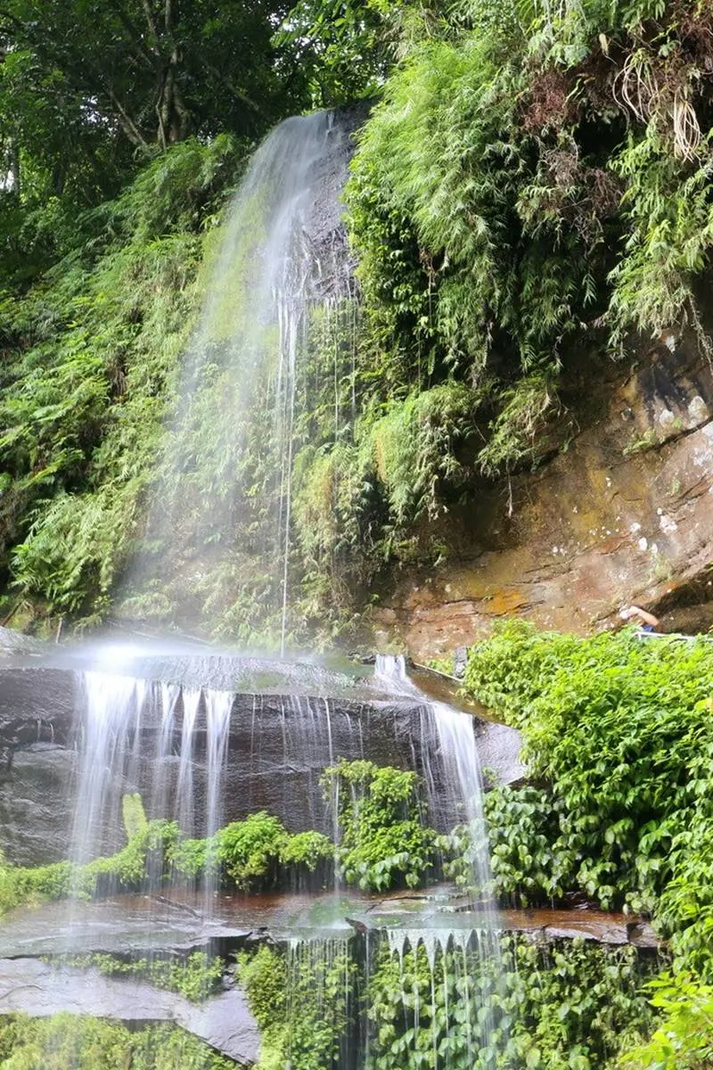秒殺記憶體！全台9大美拍登山步道：360度海景草原、仙境瀑布