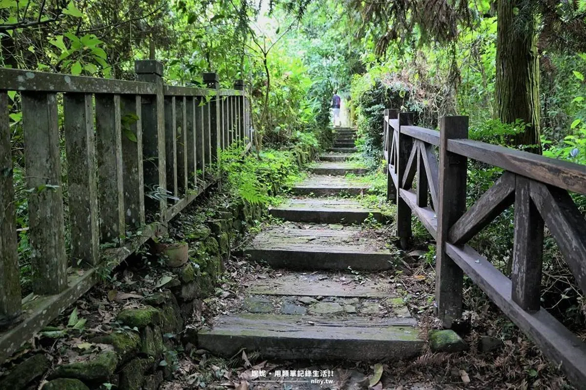 秒殺記憶體！全台9大美拍登山步道：360度海景草原、仙境瀑布